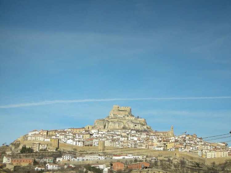 Morella